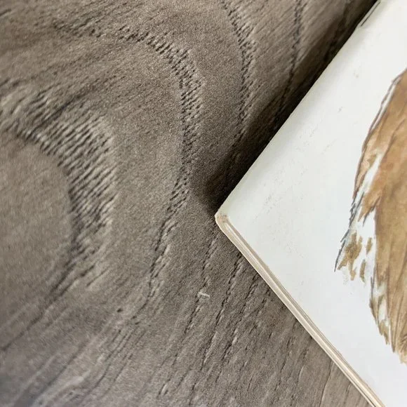 1983 Texas VS. Texas Tech College Football Program - Picture 5 of 8